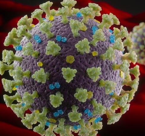 Human trials of Covid-19 vaccine to begin in England