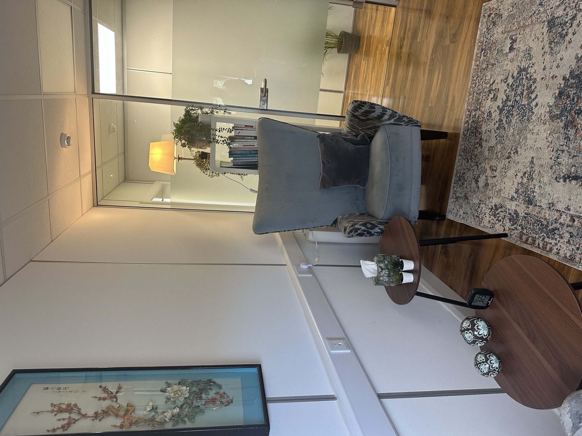 Talk Therapy Room in Malahide