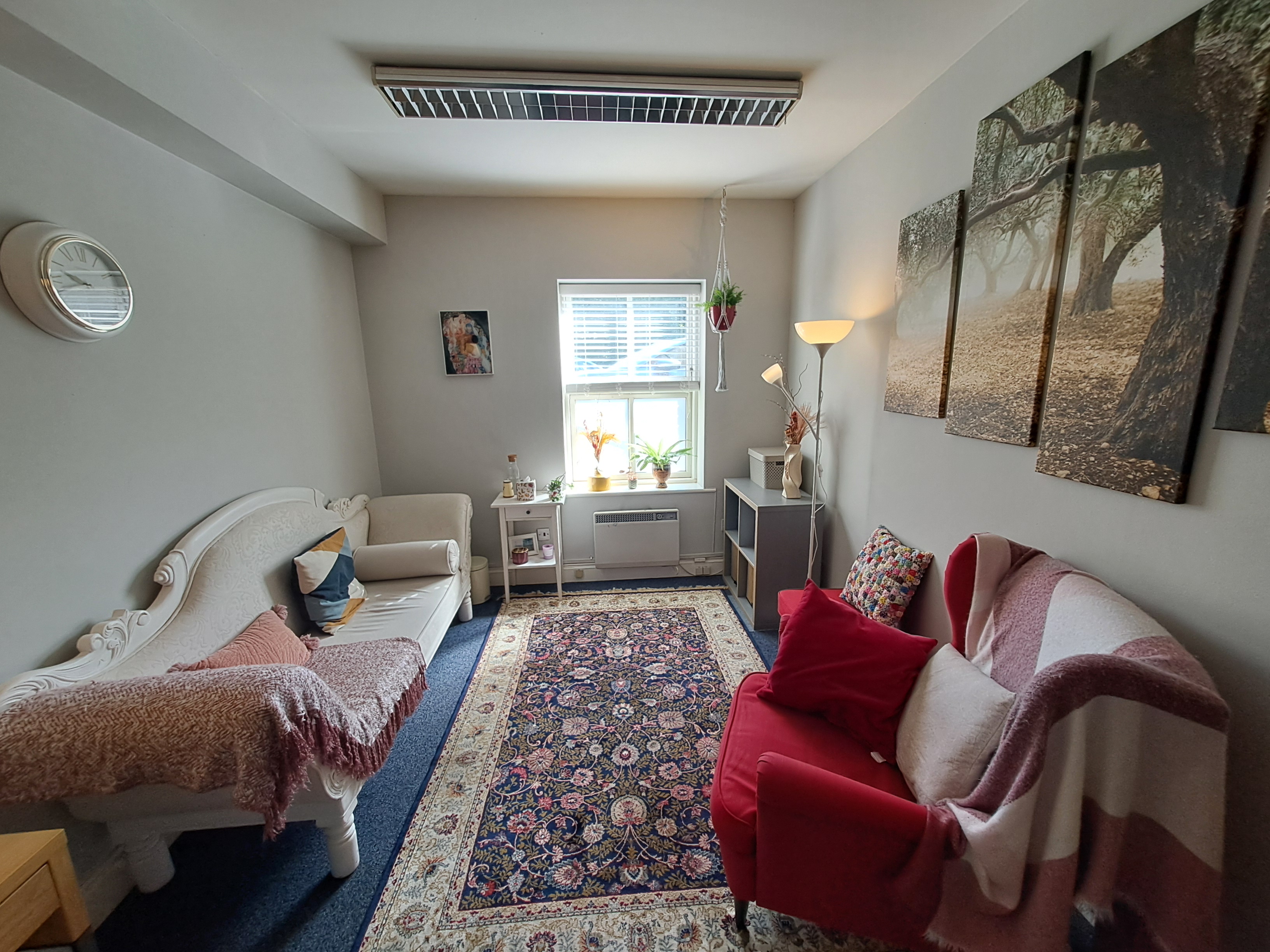 Adult Therapy Room in Blackrock South Dublin